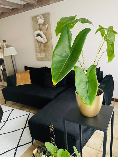 Living room, Decorative detail