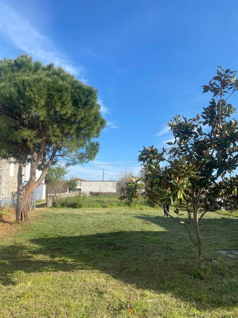 Natural landscape, Garden, Garden