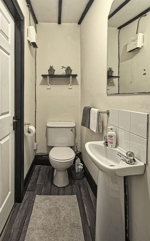 Peaceful tranquil Alpaca Farm Apartment in Ireland