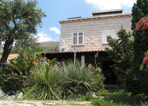 Property building, Day