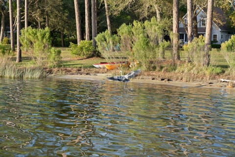 Secluded Waterfront Retreat for 23 - Dock Pets OK House in Perdido Beach