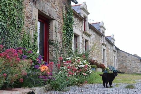 Property building, Pets