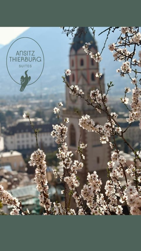 Logo/Certificate/Sign, Area and facilities