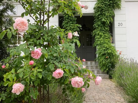 Property building, Facade/entrance, Garden
