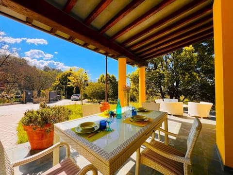 Patio, Spring, Day, Garden, Dining area, Garden view