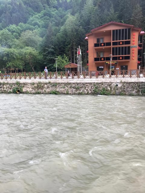Natural landscape, River view