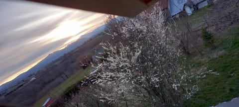 Spring, Sunset