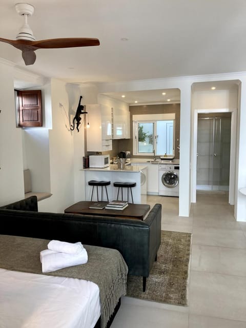 Bed, Kitchen or kitchenette, Living room, Photo of the whole room, Seating area