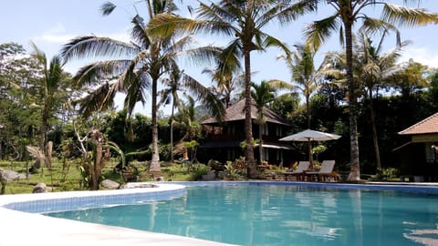 Day, Swimming pool, Swimming pool