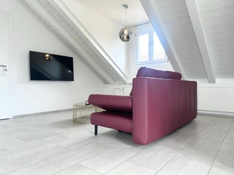 Loft apartment in a central location Apartment in Winterthur