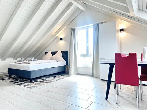 Loft apartment in a central location Apartment in Winterthur