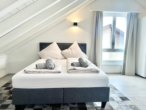 Loft apartment in a central location Apartment in Winterthur