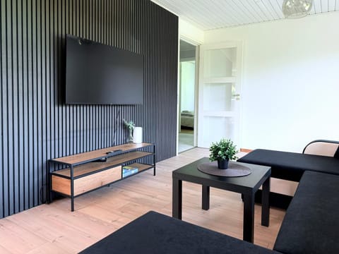 Family HOUSE Villa in Billund
