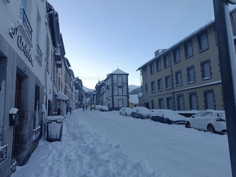Appartement T2- wifi - RDC à 300M des thermes - La villa blanche Apartment in Auvergne-Rhône-Alpes