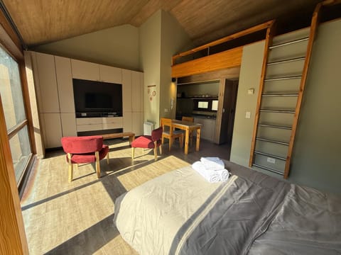 Communal lounge/ TV room, Photo of the whole room