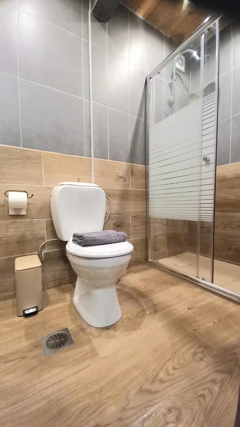 Shower, Toilet