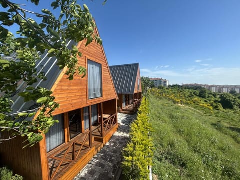 Spring, Day, Natural landscape, Garden, Garden view