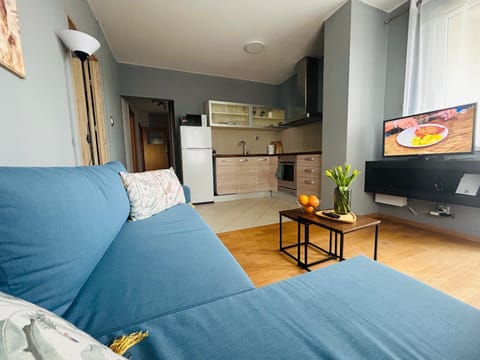 Communal lounge/ TV room, TV and multimedia, Kitchen or kitchenette, Living room, Evening entertainment