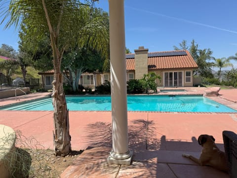 Pool view, Swimming pool
