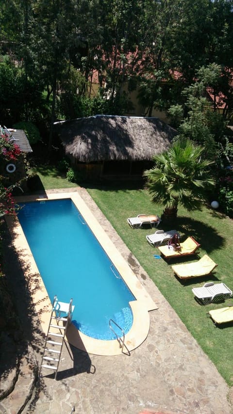 Property building, Swimming pool, Swimming pool