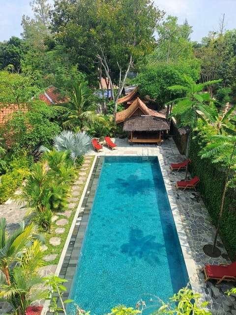 Natural landscape, Pool view, Swimming pool, Swimming pool, sunbed