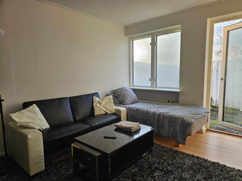 Cozy One Room Apartment Apartment in Zealand