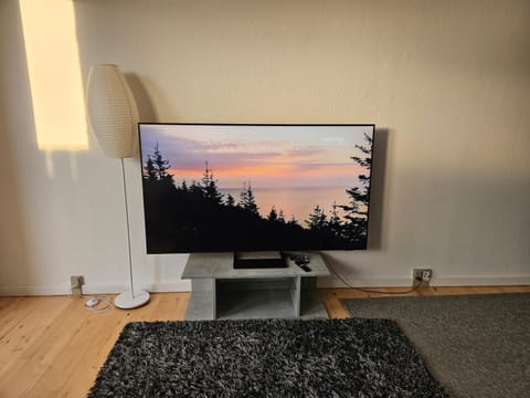 Cozy One Room Apartment Apartment in Zealand