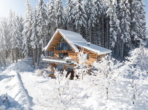 Property building, Day, Winter