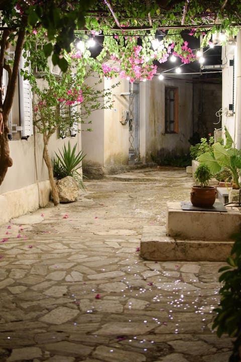 Property building, Night, Garden view