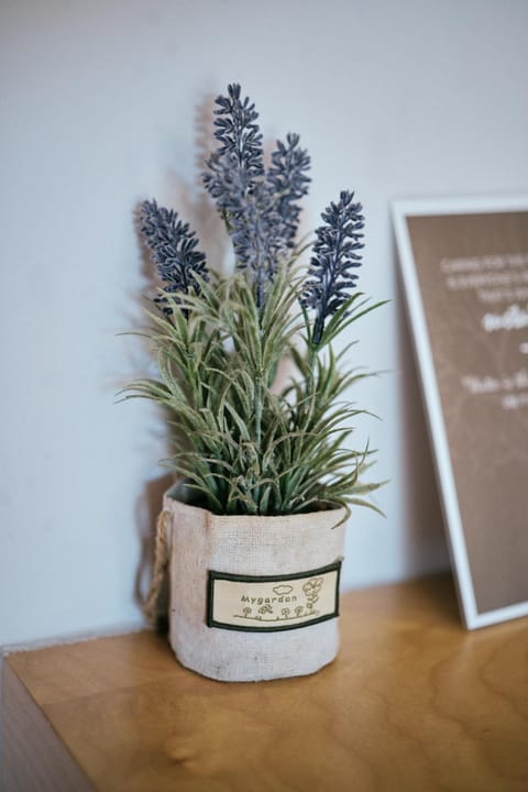 Casas da Li Country House in Viana do Castelo District, Portugal