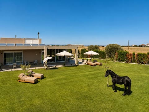 Natural landscape, Inner courtyard view
