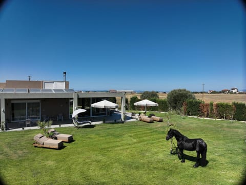 Natural landscape, Inner courtyard view