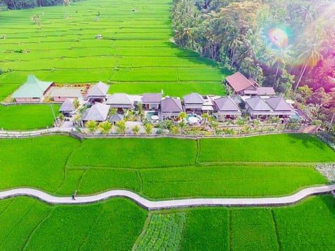 Natural landscape, Bird's eye view