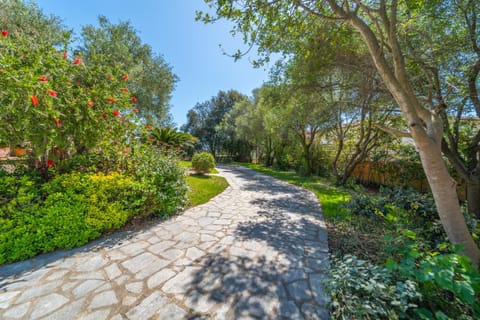 Spring, Natural landscape, Garden, Garden view