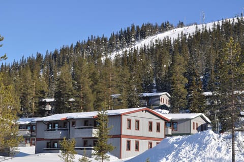 Property building, Winter