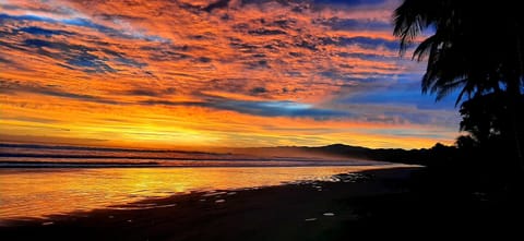Natural landscape, Beach, Sea view, Sunrise, Sunset