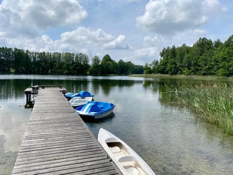 Domek wakacyjny House in Lithuania