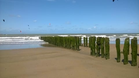 Nearby landmark, Sea view