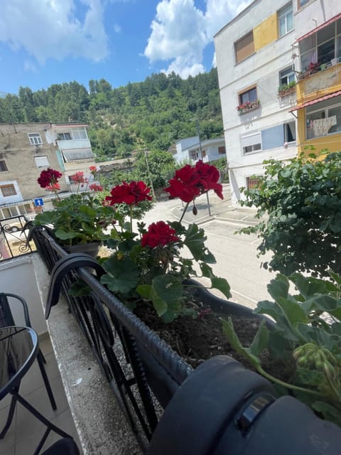 Kriss APARTMENT Apartment in North Macedonia