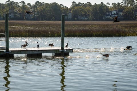 7 Rhetts Bluff Road by Akers Ellis Rentals House in Kiawah Island