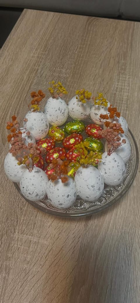 E-Half Apartment in Slavonski Brod