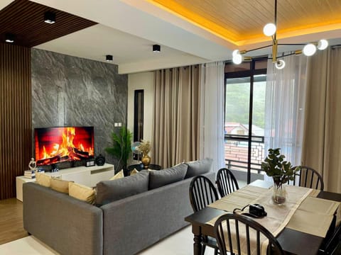 TV and multimedia, Living room