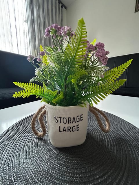 Apartment ANIIDA Apartment in Mostar