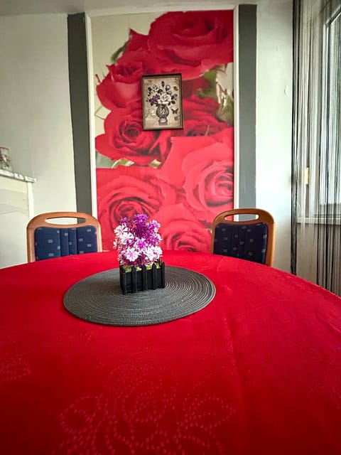 Apartment ANIIDA Apartment in Mostar