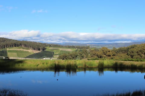 Garden, Garden view, Landmark view