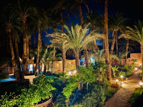 Spring, Night, Garden, Garden view, Pool view, Swimming pool