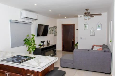 TV and multimedia, Kitchen or kitchenette, Living room, air conditioner