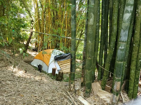 Campamento equipado de bosque Luxury tent in Cuetzalan
