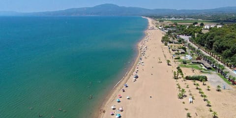 Nearby landmark, Beach