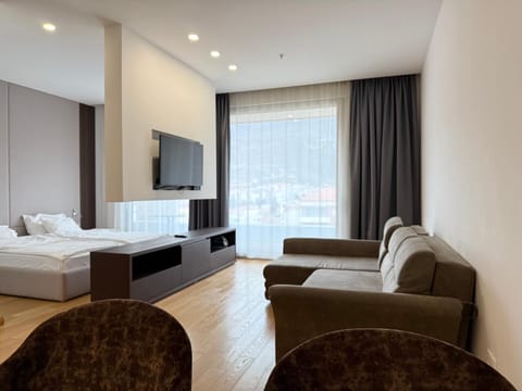 Communal lounge/ TV room, Bed, TV and multimedia, Living room, Seating area, Evening entertainment, Bedroom